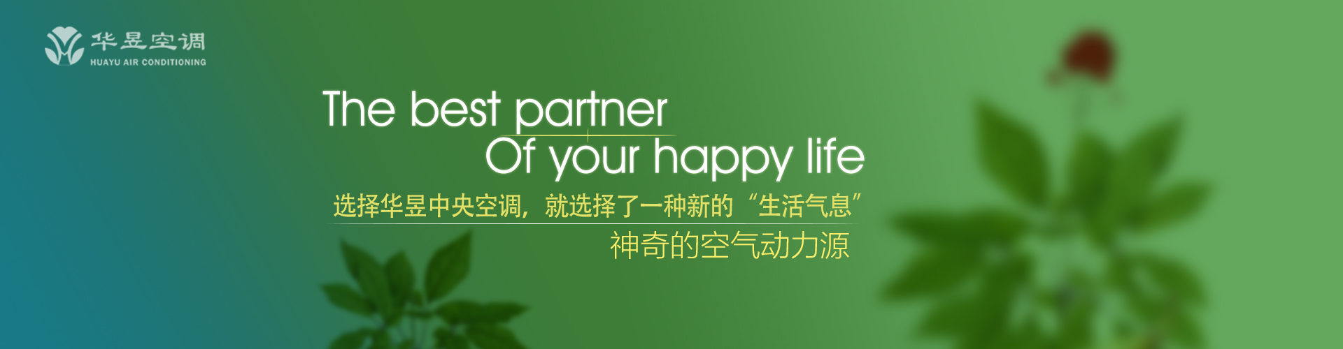 比手划脚网